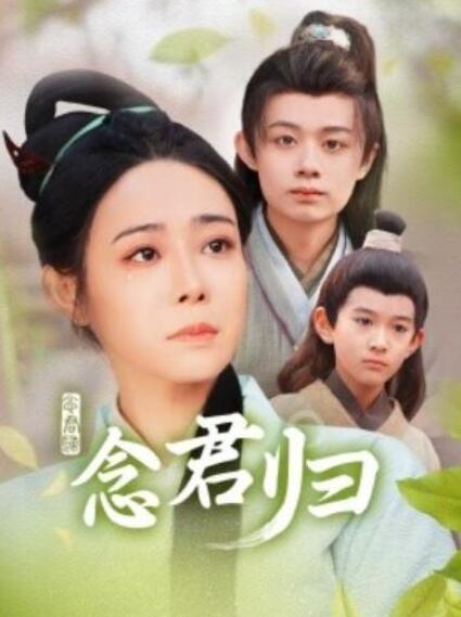 短剧《念君归（77集全）》完整版高清免费观看  第1张