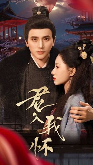 君入我怀（60集）短剧大结局合集放送