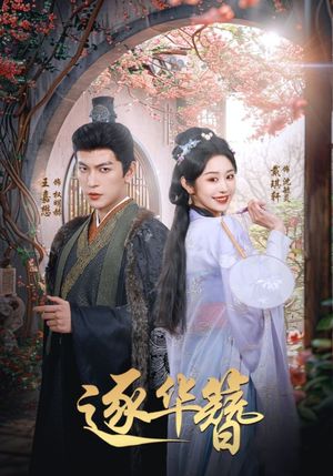 逐华簪（80集）短剧合集杜比音效版