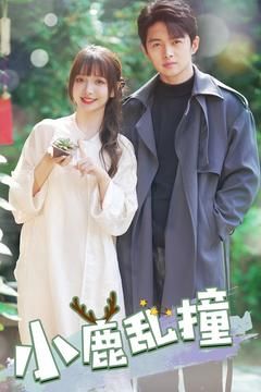 小鹿乱撞（40集）短剧完整版全集放送