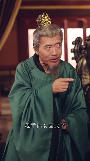 镇北王府疯郡主的秘密与故事,她到底为何发疯? 镇北王府有个疯郡主(74集)逆袭短剧