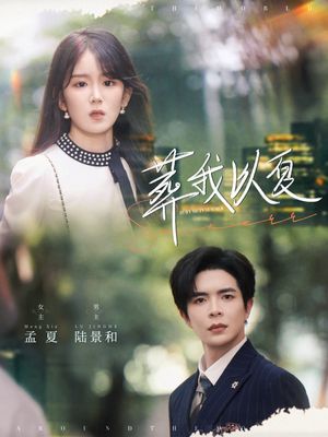 葬我以夏（73集）短剧热播中
