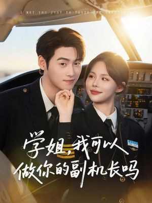 学姐我可以做你的副机长吗（30集）免费看短剧