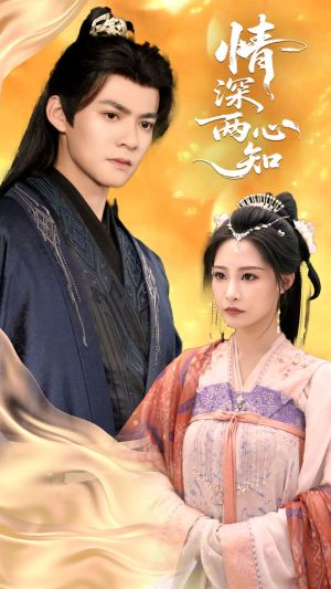 情深两心知（70集）爆款短剧抢先看
