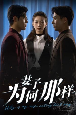 妻子为何那样（60集）常回家看看短剧