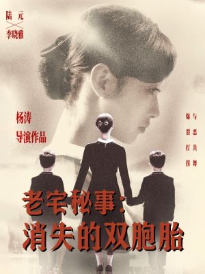 老宅秘事消失的双胞胎（90集）看到了大结局