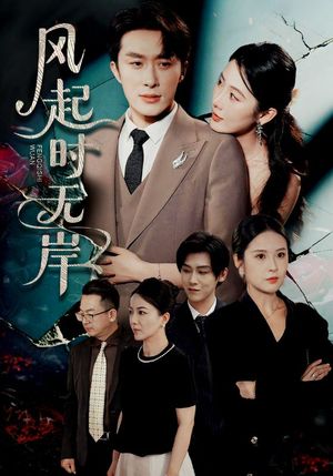 风起时无岸（58集）零花钱看整部剧