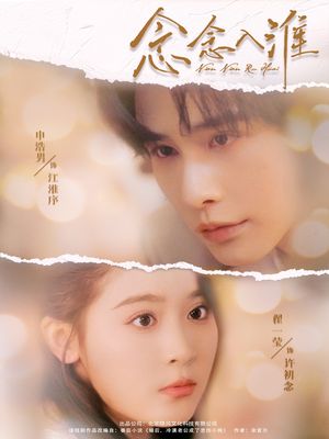 念念入淮（74集）短剧追不停