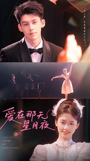 爱在那天星月夜（46集）短剧精彩绝伦