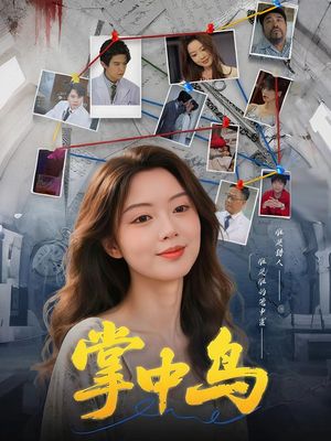 掌中鸟（42集）在线免费观看