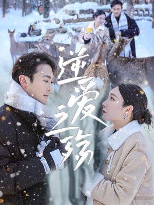 逆爱之殇（60集）短剧看全集