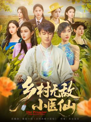 乡村无敌小医仙（87集）视频在线看