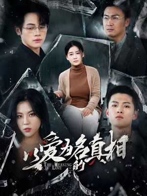 以爱为名的真相（70集）集免费看短剧