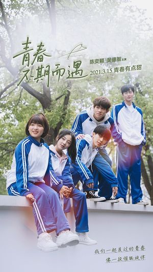 青春不期而遇（50集）流畅播放免费看