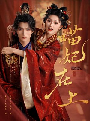 喵妃在上（64集）全集下载