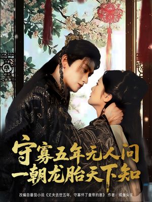 守寡五年无人问一朝龙胎天下知（83集）免费短剧合集
