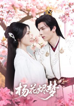 扬花烬梦（68集）海量短剧免费看