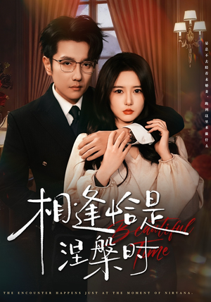 相逢恰是涅槃时（63集）重生短剧