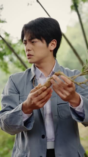 天降福犬旺全家（30集）逆袭短剧