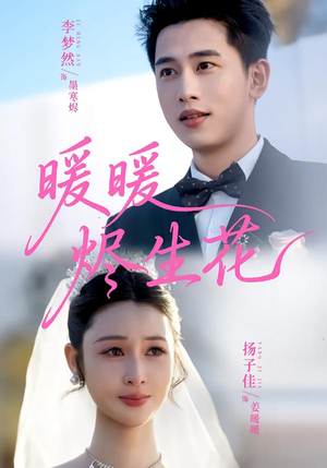暖暖烬生花（65集）重生短剧