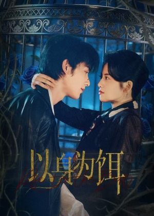 以身为饵大结局解析:短剧结局震撼,引发哪些思考? 以身为饵(61集)逆袭短剧