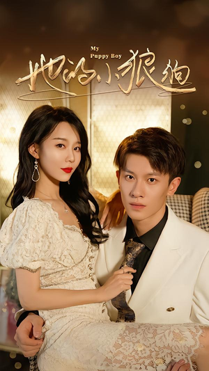 灿烂的风（60集）逆袭短剧