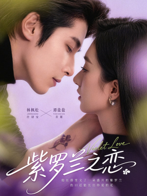 紫罗兰之恋（82集）甜宠短剧